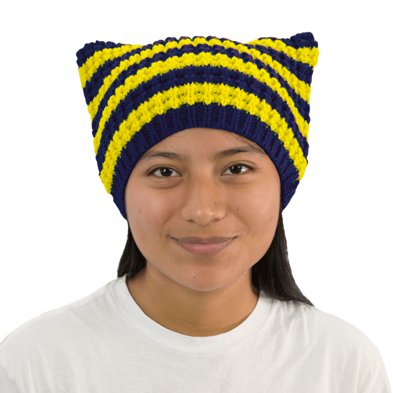 Navy and Yellow Striped Cat Beanie