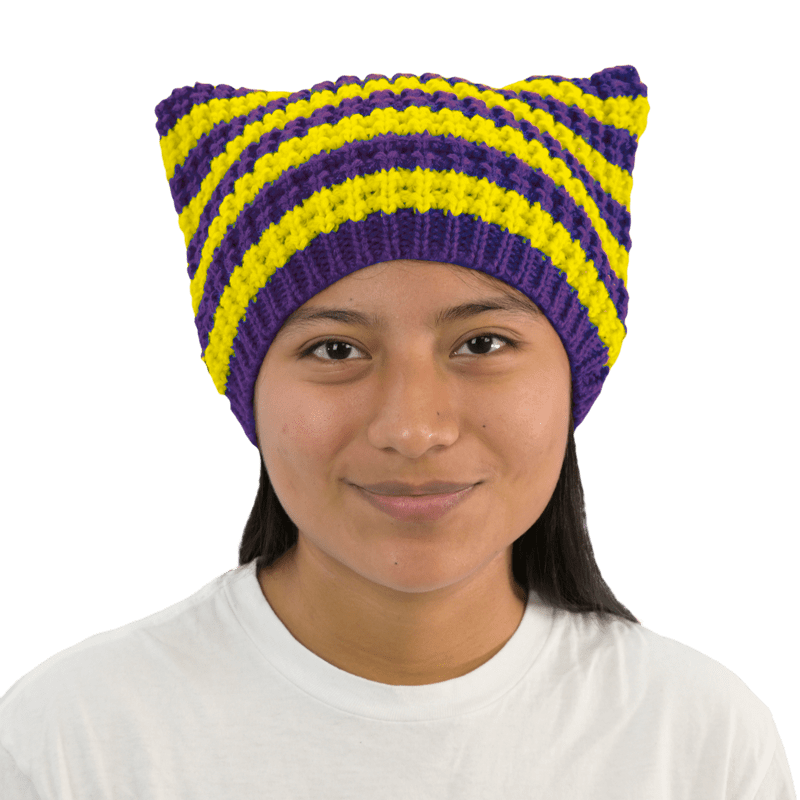 Purple and Yellow Striped Cat Beanie