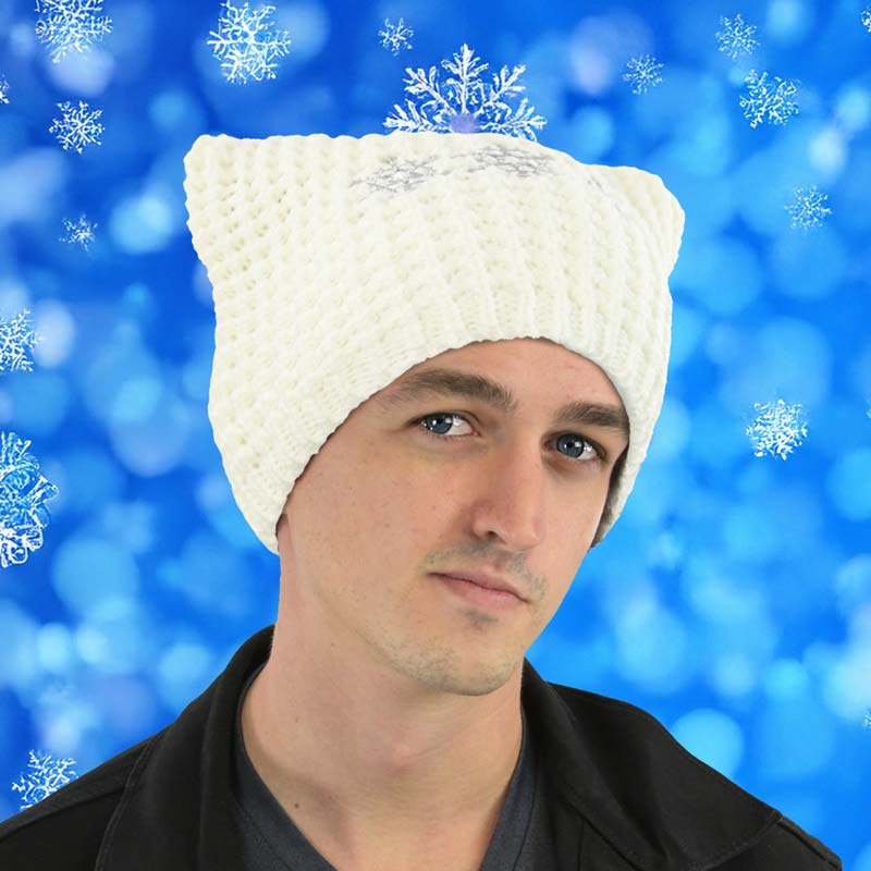 Winter Wonderland Cat Beanie